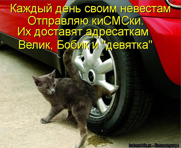 Каждый день своим невестам Отправляю киСМСки. Их доставят адресаткам Велик, Бобик и "девятка"... Котоматрица: Каждый день своим невестам Отправляю киСМСки. Их доставят адресаткам Велик, Бобик и "девятка"