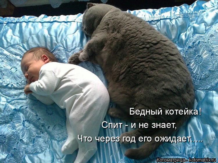 Котоматрица: Бедный котейка! Спит - и не знает, Что через год его ожидает.....