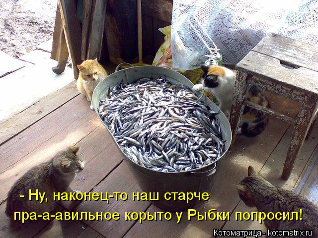 - Ну, наконец-то наш старче пра-а-авильное корыто у Рыбки попросил!... Котоматрица: - Ну, наконец-то наш старче пра-а-авильное корыто у Рыбки попросил!