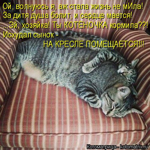 Ой, волнуюсь я, аж стала жизнь не мИла! За дитя душа болит, и сердце мается! ...Эй, хозяйка! Ты КОТЁН... Котоматрица: Ой, волнуюсь я, аж стала жизнь не мИла! За дитя душа болит, и сердце мается! ...Эй, хозяйка! Ты КОТЁНОЧКА кормила??! Исхудал сынок - НА КРЕСЛЕ ПОМ