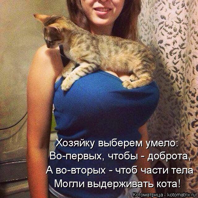 Хозяйку выберем умело: Во-первых, чтобы - доброта, А во-вторых - чтоб части тела Могли выдерживать ко... Котоматрица: Хозяйку выберем умело: Во-первых, чтобы - доброта, А во-вторых - чтоб части тела Могли выдерживать кота!