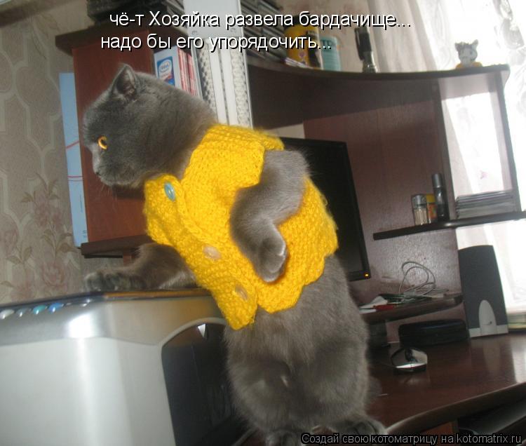 чё-т Хозяйка развела бардачище... надо бы его упорядочить...... Котоматрица: чё-т Хозяйка развела бардачище... надо бы его упорядочить...