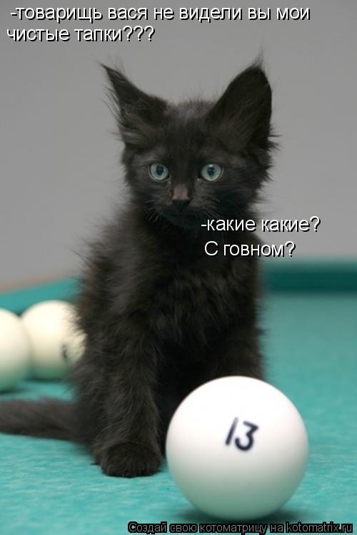 Котоматрица: чистые тапки??? -товарищь вася не видели вы мои  -какие какие? С говном?