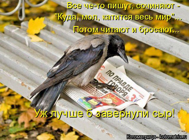 Все че-то пишут, сочиняют - "Куда, мол, катится весь мир"... Потом читают и бросают... Уж лучше б зав... Котоматрица: Все че-то пишут, сочиняют - "Куда, мол, катится весь мир"... Потом читают и бросают... Уж лучше б завернули сыр!