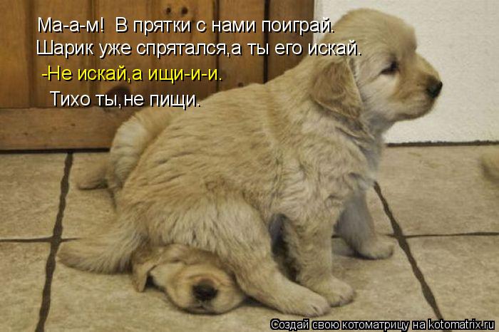 Ма-а-м! В прятки с нами поиграй. Шарик уже спрятался,а ты его искай. -Не искай,а ищи-и-и. Тихо ты,не... Котоматрица: Ма-а-м! В прятки с нами поиграй. Шарик уже спрятался,а ты его искай. -Не искай,а ищи-и-и. Тихо ты,не пищи.