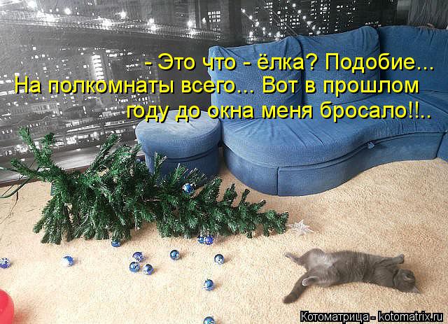- Это что - ёлка? Подобие... На полкомнаты всего... Вот в прошлом году до окна меня бросало!!..... Котоматрица: - Это что - ёлка? Подобие... На полкомнаты всего... Вот в прошлом году до окна меня бросало!!..