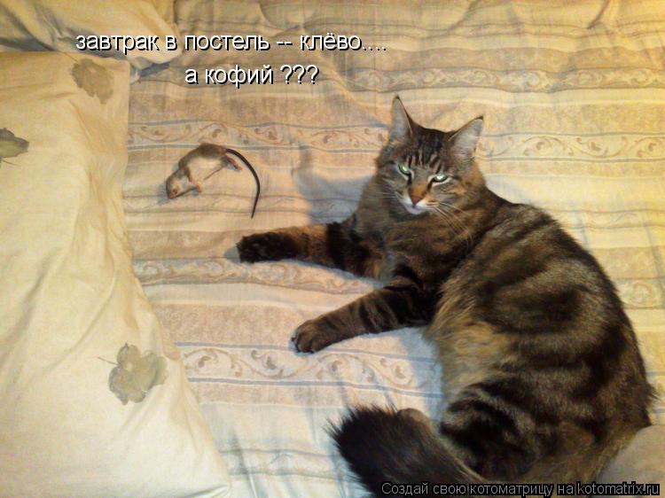 завтрак в постель -- клёво.... а кофий ???... Котоматрица: завтрак в постель -- клёво.... а кофий ???