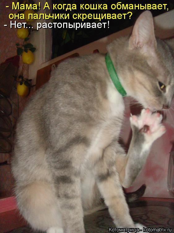 Котоматрица: - Мама! А когда кошка обманывает, она пальчики скрещивает? - Нет... растопыривает!