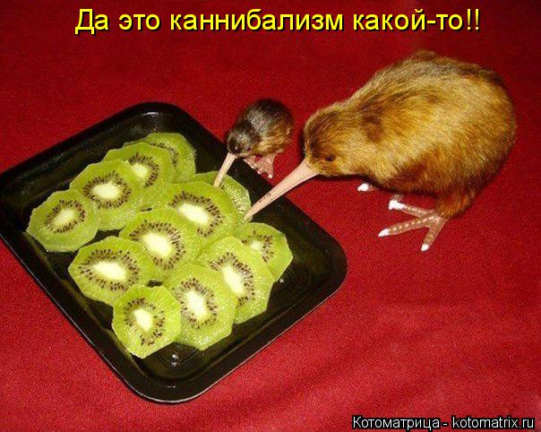 Да это каннибализм какой-то!!... Котоматрица: Да это каннибализм какой-то!!