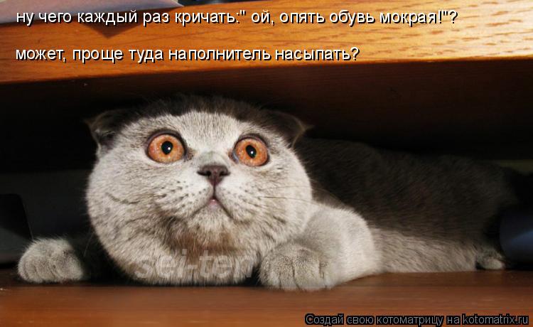 может, проще туда наполнитель насыпать? ну чего каждый раз кричать:" ой, опять обувь мокрая!"?... Котоматрица: может, проще туда наполнитель насыпать? ну чего каждый раз кричать:" ой, опять обувь мокрая!"?