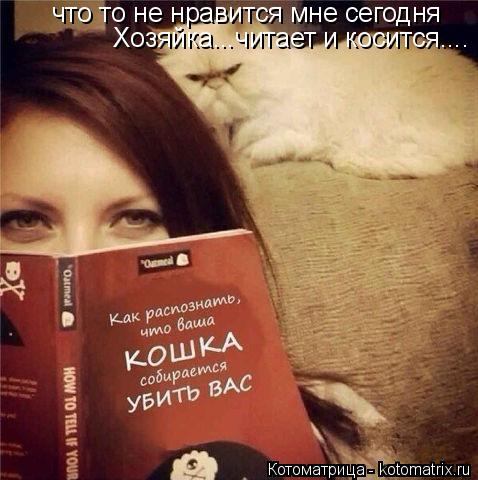 что то не нравится мне сегодня Хозяйка...читает и косится....... Котоматрица: что то не нравится мне сегодня Хозяйка...читает и косится....