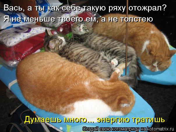 Вась, а ты как себе такую ряху отожрал? Я не меньше твоего ем, а не толстею Думаешь много... энергию ... Котоматрица: Вась, а ты как себе такую ряху отожрал? Я не меньше твоего ем, а не толстею Думаешь много... энергию тратишь