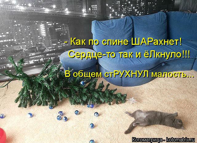 Сердце-то так и ёЛкнуло!!! В общем стРУХНУЛ малость... - Как по спине ШАРахнет!... Котоматрица: Сердце-то так и ёЛкнуло!!! В общем стРУХНУЛ малость... - Как по спине ШАРахнет!