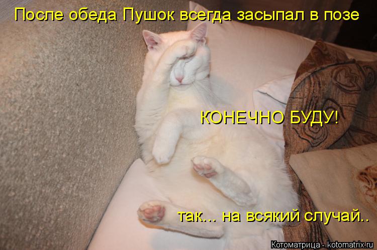 Котоматрица: так... на всякий случай.. После обеда Пушок всегда засыпал в позе КОНЕЧНО БУДУ!