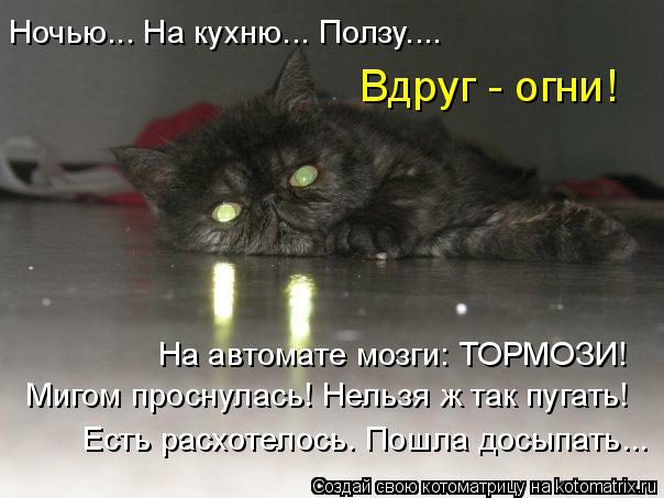 Котоматрица: Ночью... На кухню... Ползу.... Вдруг - огни! На автомате мозги: ТОРМОЗИ! Мигом проснулась! Нельзя ж так пугать! Есть расхотелось. Пошла досыпать...