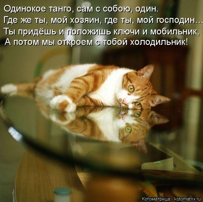 Одинокое танго, сам с собою, один. Где же ты, мой хозяин, где ты, мой господин… Ты придёшь и положишь... Котоматрица: Одинокое танго, сам с собою, один. Где же ты, мой хозяин, где ты, мой господин… Ты придёшь и положишь ключи и мобильник, А потом мы откроем с то