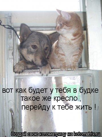 Котоматрица: вот как будет у тебя в будке такое же кресло , перейду к тебе жить !