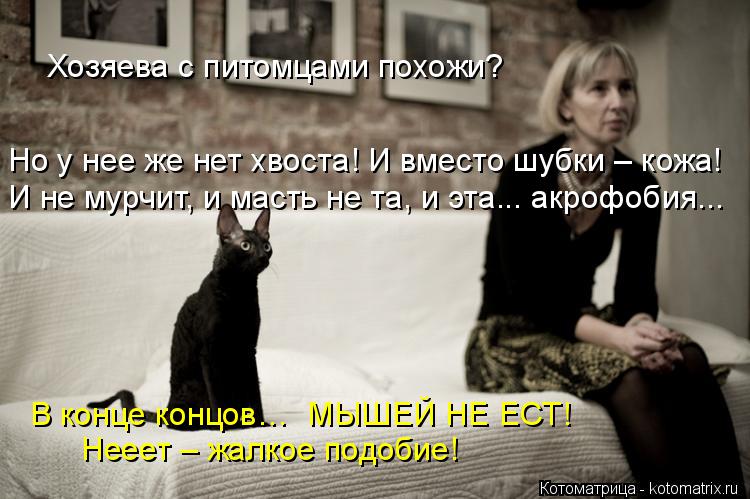 Хозяева с питомцами похожи? Но у нее же нет хвоста! И вместо шубки – кожа! И не мурчит, и масть не та... Котоматрица: Хозяева с питомцами похожи? Но у нее же нет хвоста! И вместо шубки – кожа! И не мурчит, и масть не та, и эта... акрофобия... Нееет – жалкое подоби