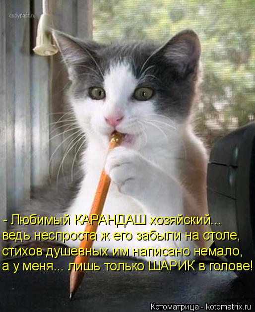 - Любимый КАРАНДАШ хозяйский... ведь неспроста ж его забыли на столе, стихов душевных им написано нем... Котоматрица: - Любимый КАРАНДАШ хозяйский... ведь неспроста ж его забыли на столе, стихов душевных им написано немало, а у меня... лишь только ШАРИК в голов