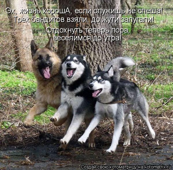 Эх, жизнь хорошА, если служишь не спеша! Отдохнуть теперь пора, веселимся до утра! Трех бандитов взя... Котоматрица: Эх, жизнь хорошА, если служишь не спеша! Отдохнуть теперь пора, веселимся до утра! Трех бандитов взяли, до жути запугали!