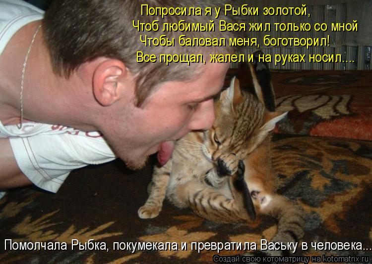 Котоматрица: Попросила я у Рыбки золотой, Чтоб любимый Вася жил только со мной Чтобы баловал меня, боготворил! Все прощал, жалел и на руках носил.... Помолч