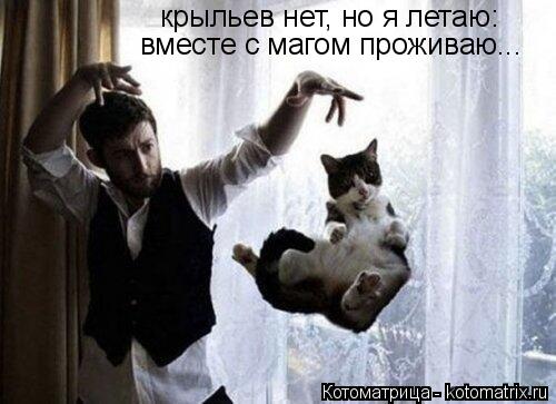крыльев нет, но я летаю: вместе с магом проживаю...... Котоматрица: крыльев нет, но я летаю: вместе с магом проживаю...