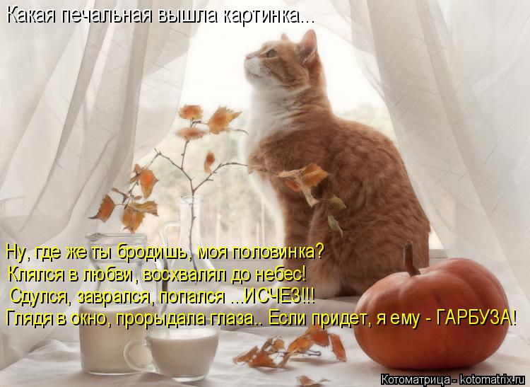 Клялся в любви, восхвалял до небес! Сдулся, заврался, попался ...ИСЧЕЗ!!! Глядя в окно, прорыдала гла... Котоматрица: Клялся в любви, восхвалял до небес! Сдулся, заврался, попался ...ИСЧЕЗ!!! Глядя в окно, прорыдала глаза.. Если придет, я ему - ГАРБУЗА! Какая печа