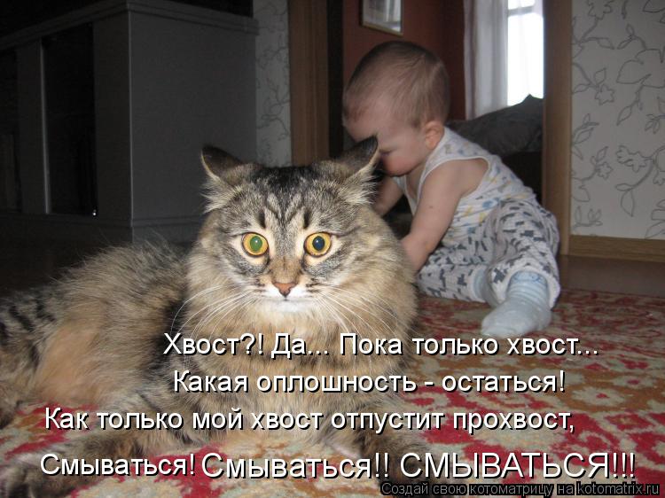 Хвост?! Да... Пока только хвост... Как только мой хвост отпустит прохвост, Смываться! Смываться!! СМЫ... Котоматрица: Хвост?! Да... Пока только хвост... Как только мой хвост отпустит прохвост, Смываться! Смываться!! СМЫВАТЬСЯ!!! Какая оплошность - остаться!