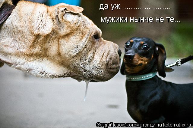 Котоматрица: да уж....................... мужики нынче не те...