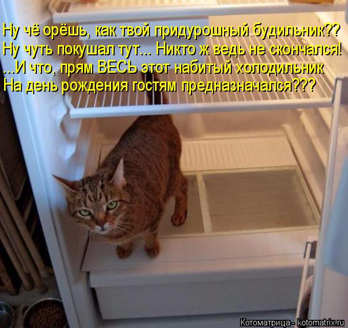 Котоматрица: Ну чё орёшь, как твой придурошный будильник?? Ну чуть покушал тут... Никто ж ведь не скончался! ...И что, прям ВЕСЬ этот набитый холодильник На д