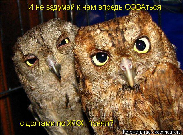 Котоматрица: И не вздумай к нам впредь СОВАться  с долгами по ЖКХ, понял?