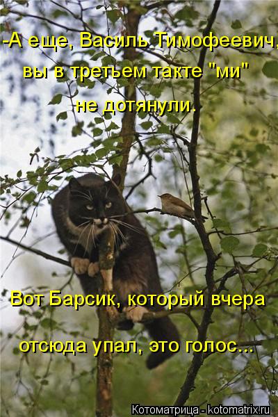 Вот Барсик, который вчера отсюда упал, это голос... -А еще, Василь Тимофеевич, вы в третьем такте "ми... Котоматрица: Вот Барсик, который вчера отсюда упал, это голос... -А еще, Василь Тимофеевич, вы в третьем такте "ми" не дотянули.