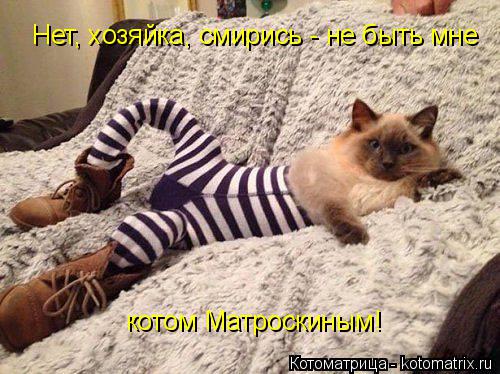Котоматрица: Нет, хозяйка, смирись - не быть мне котом Матроскиным!