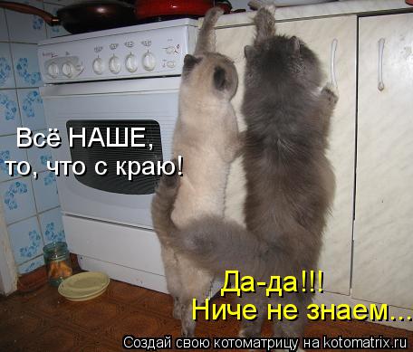 Котоматрица: Ниче не знаем... Всё НАШЕ, то, что с краю! Да-да!!!