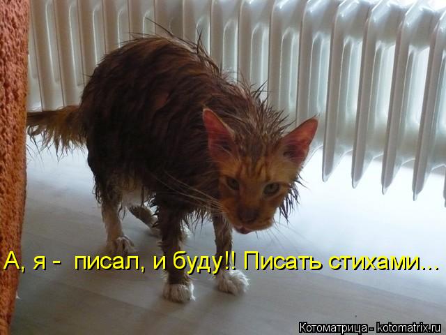 Котоматрица: А, я -  писал, и буду!! Писать стихами...