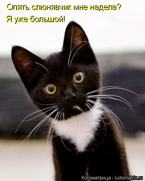 Опять слюнявчик мне надела? Я уже большой!... Котоматрица: Опять слюнявчик мне надела? Я уже большой!