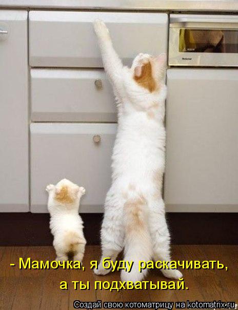 - Мамочка, я буду раскачивать, а ты подхватывай.... Котоматрица: - Мамочка, я буду раскачивать, а ты подхватывай.
