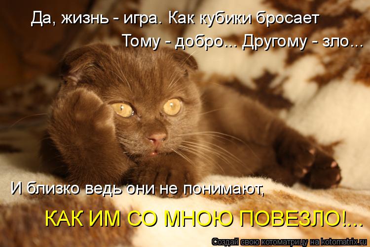 Да, жизнь - игра. Как кубики бросает Тому - добро... Другому - зло... И близко ведь они не понимают, ... Котоматрица: Да, жизнь - игра. Как кубики бросает Тому - добро... Другому - зло... И близко ведь они не понимают, КАК ИМ СО МНОЮ ПОВЕЗЛО!...