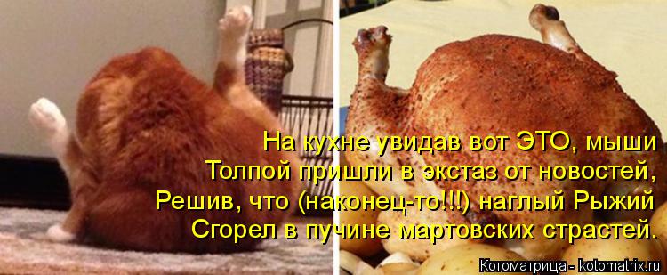 Котоматрица: На кухне увидав вот ЭТО, мыши Толпой пришли в экстаз от новостей, Решив, что (наконец-то!!!) наглый Рыжий Сгорел в пучине мартовских страстей.