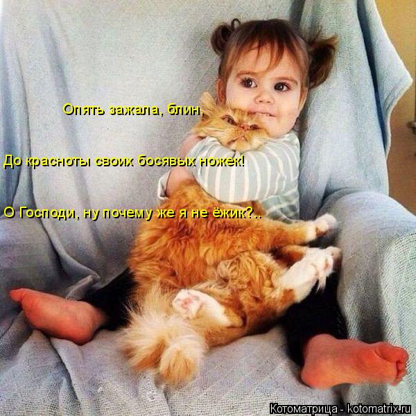 Опять зажала, блин, О Господи, ну почему же я не ёжик?.. До красноты своих босявых ножек!... Котоматрица: Опять зажала, блин, О Господи, ну почему же я не ёжик?.. До красноты своих босявых ножек!