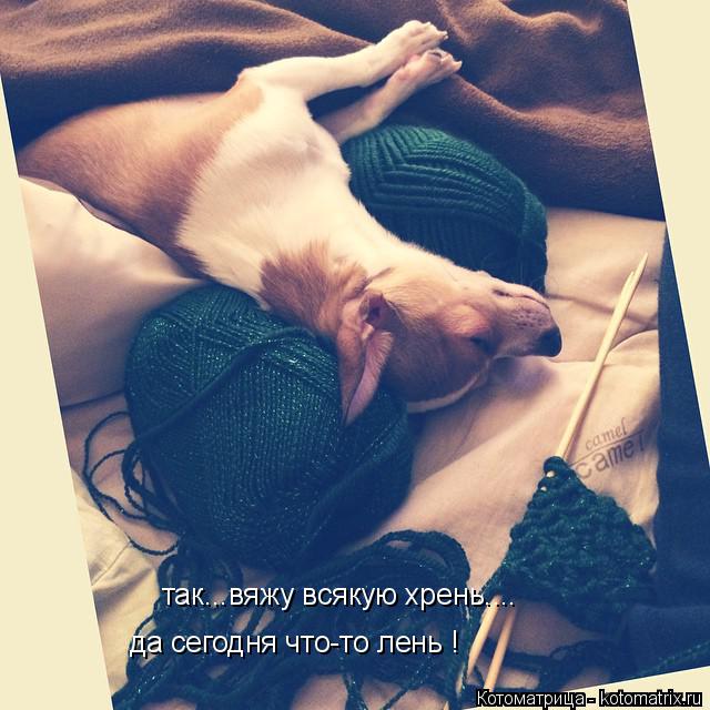 так...вяжу всякую хрень.... да сегодня что-то лень !... Котоматрица: так...вяжу всякую хрень.... да сегодня что-то лень !