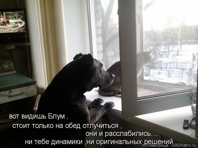стоит только на обед отлучиться , они и расслабились.... ни тебе динамики ,ни оригинальных решений...... Котоматрица: стоит только на обед отлучиться , они и расслабились.... ни тебе динамики ,ни оригинальных решений..... вот видишь Блум ,