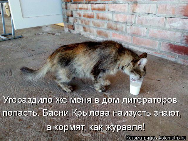 Котоматрица: Угораздило же меня в дом литераторов попасть. Басни Крылова наизусть знают, а кормят, как журавля!