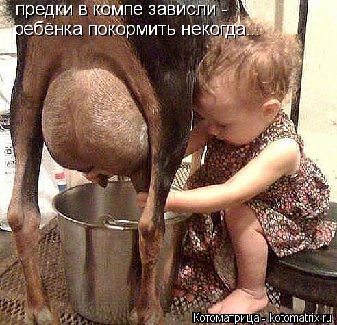 предки в компе зависли - ребёнка покормить некогда...... Котоматрица: предки в компе зависли - ребёнка покормить некогда...