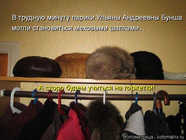 Котоматрица: В трудную минуту парики Ульяны Андреевны Бунша могли становиться меховыми шапками...  - А скоро будем учиться на горжетки!