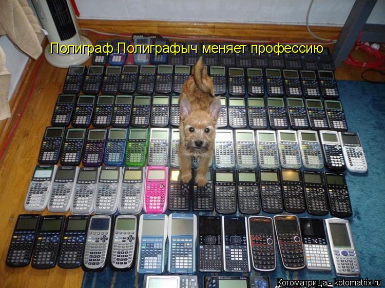 Котоматрица: Полиграф Полиграфыч меняет профессию