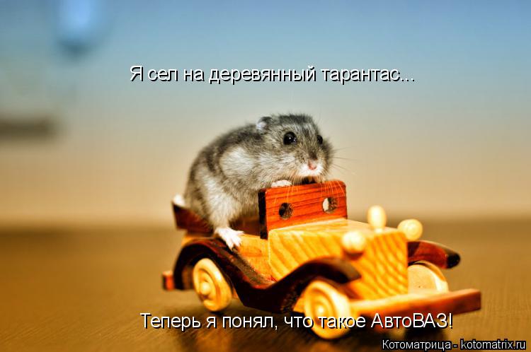Котоматрица: Я сел на деревянный тарантас... Теперь я понял, что такое АвтоВАЗ!