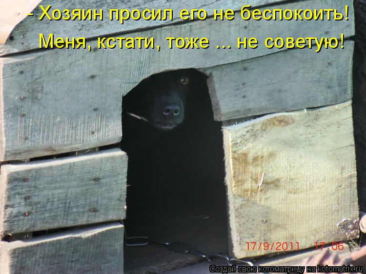- Хозяин просил его не беспокоить! Меня, кстати, тоже ... не советую!... Котоматрица: - Хозяин просил его не беспокоить! Меня, кстати, тоже ... не советую!