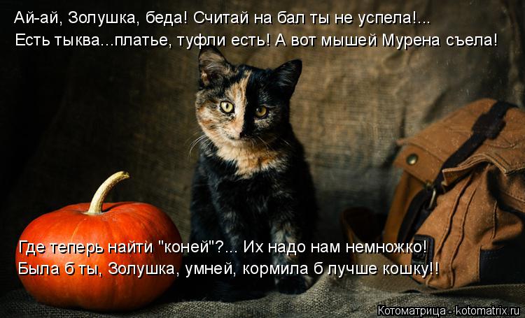 Котоматрица: Ай-ай, Золушка, беда! Считай на бал ты не успела!... Есть тыква...платье, туфли есть! А вот мышей Мурена съела! Где теперь найти "коней"?... Их надо 