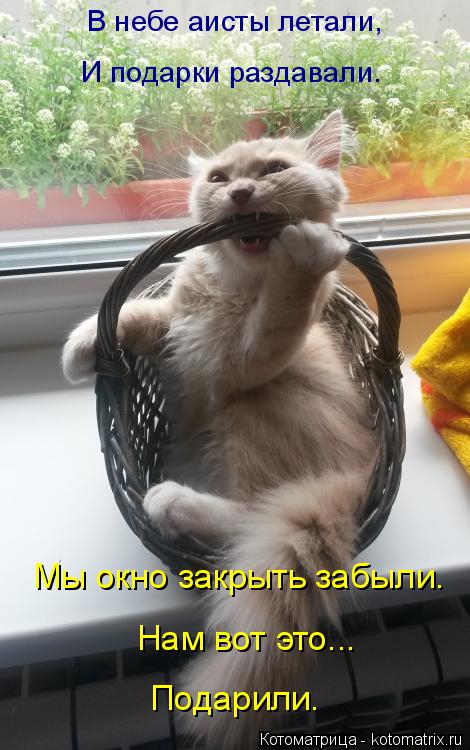 В небе аисты летали, И подарки раздавали. Мы окно закрыть забыли. Нам вот это... Подарили.... Котоматрица: В небе аисты летали, И подарки раздавали. Мы окно закрыть забыли. Нам вот это... Подарили.